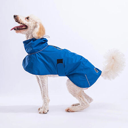 Pawstar Colombia Mavi Su Geçirmez Orta-Büyük Irk Köpek Pratik Yağmurluk