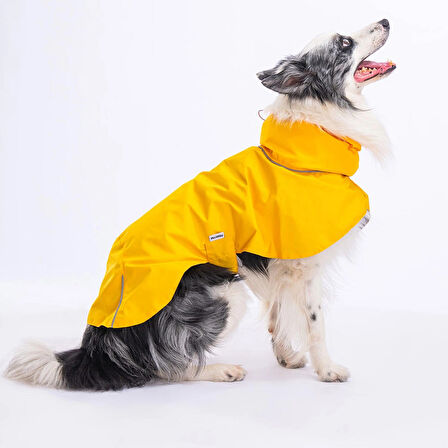 Pawstar Colombia Sarı Su Geçirmez Orta-Büyük Irk Köpek Pratik Yağmurluk