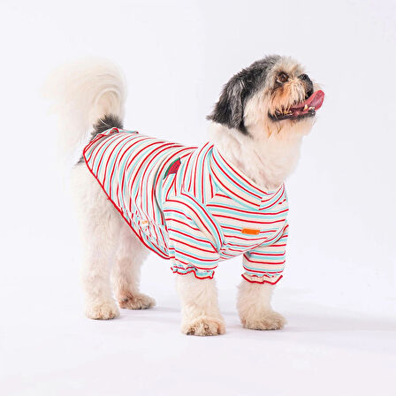 Pawstar Cocomero Küçük Irk Köpek Likralı Triko