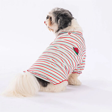 Pawstar Cocomero Küçük Irk Köpek Likralı Triko