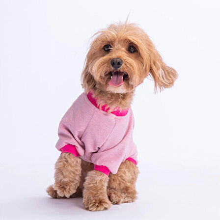 Pawstar Pembe Bone Hunter Küçük Irk Köpek Sweatshirtü