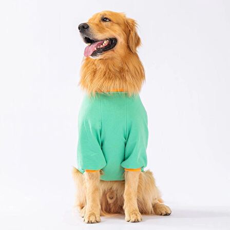 Pawstar Mint Bone Hunter Orta-Büyük Irk Köpek Sweatshirt