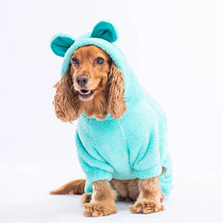 Pawstar Mint Koala Peluş Küçük Irk Köpek Tulumu