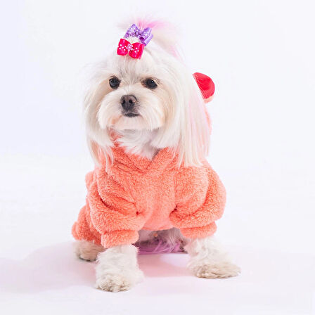 Pawstar Somon Koala Peluş Küçük Irk Köpek Tulumu