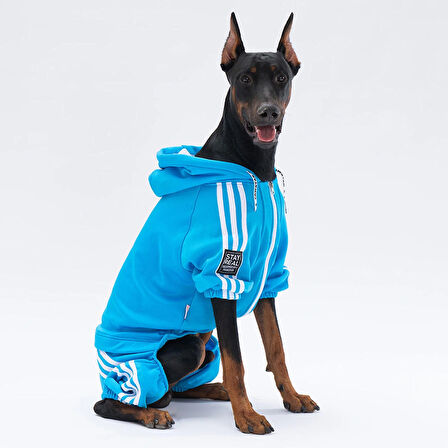 Pawstar Turkuaz Tuta Orta-Büyük Irk Köpek Tulumu