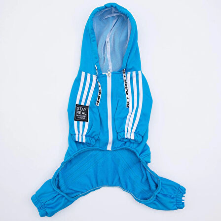 Pawstar Turkuaz Tuta Orta-Büyük Irk Köpek Tulumu