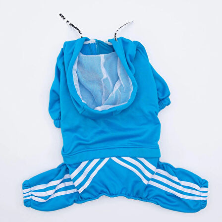 Pawstar Turkuaz Tuta Orta-Büyük Irk Köpek Tulumu