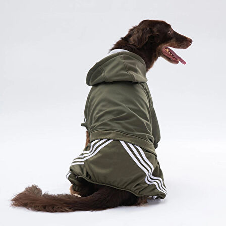Pawstar Haki Tuta Orta-Büyük Irk Köpek Tulumu