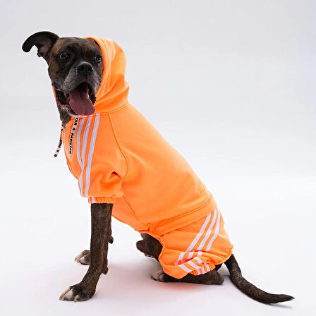 Pawstar Turuncu Tuta Orta-Büyük Irk Köpek Tulumu