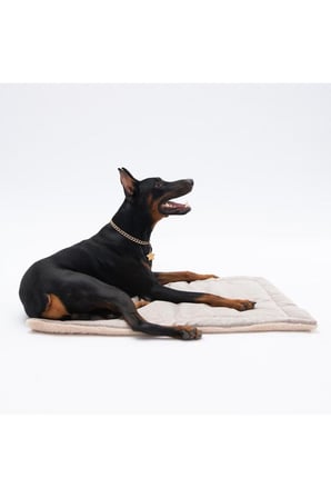 Pawstar Lüx Pet Mat Kedi Köpek Yatağı Yıkanabilir Bej 50-70cm