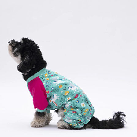 Pawstar Küçük Irk Köpek Mint Unicorn Penye Tulum Pijama