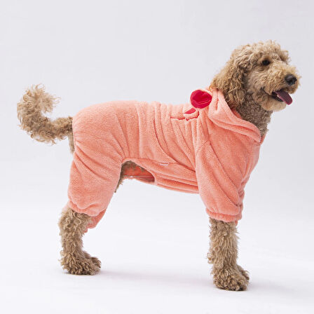 Pawstar Somon Koala Peluş Orta-Büyük Irk Köpek Tulumu