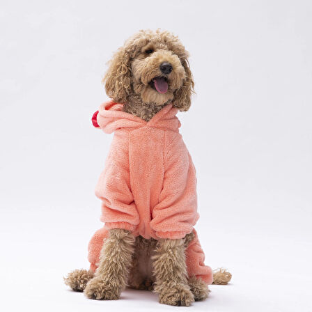 Pawstar Somon Koala Peluş Orta-Büyük Irk Köpek Tulumu