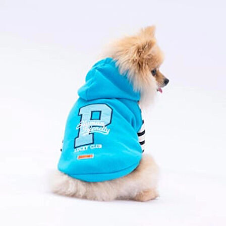 Pawstar Turkuaz Lucky Club Polarlı Küçük Irk Köpek Sweatshirtü