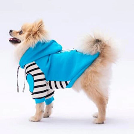 Pawstar Turkuaz Lucky Club Polarlı Küçük Irk Köpek Sweatshirtü