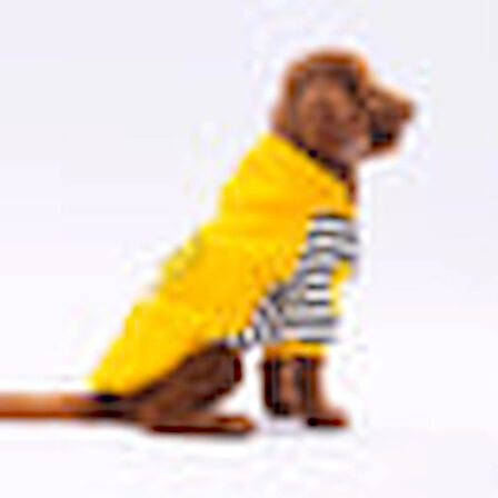 Pawstar Sarı Lucky Club Polarlı Küçük Irk Köpek Sweatshirtü