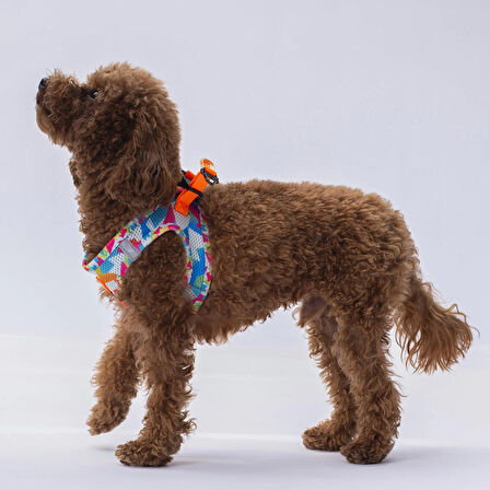 Pawstar Air-Mesh Mosaic Köpek Göğüs Tasması