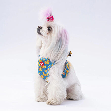Pawstar Air-Mesh Ducks Köpek Göğüs Tasması