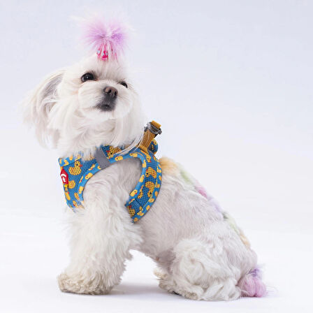 Pawstar Air-Mesh Ducks Köpek Göğüs Tasması