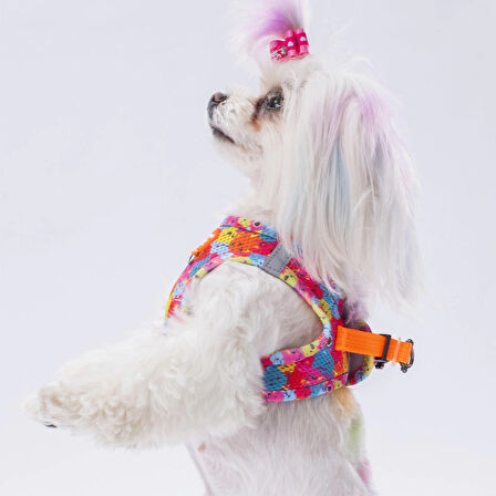 Pawstar Air-Mesh Monsters Köpek Göğüs Tasması