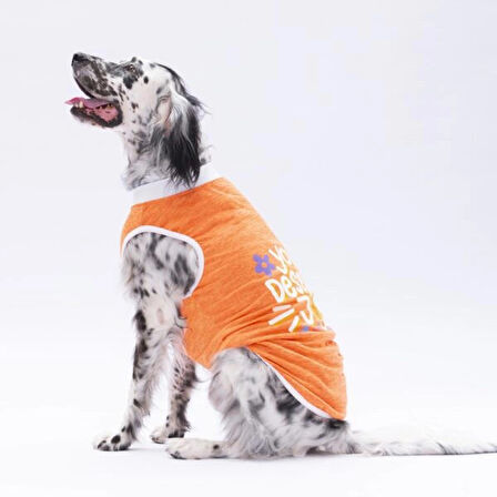 Pawstar Orange Joy Orta-Büyük Irk Köpek T-shirtü