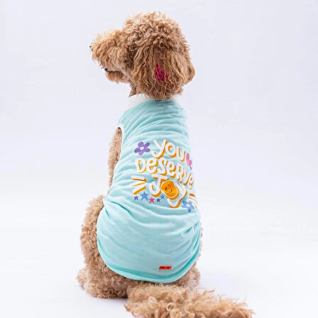 Pawstar Mint Joy Orta-Büyük Irk Köpek T-shirtü