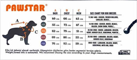Pawstar Mint Joy Orta-Büyük Irk Köpek T-shirtü