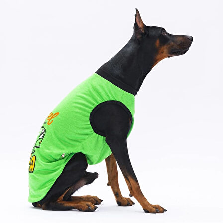 Pawstar Green Travel Orta-Büyük Irk Köpek T-shirtü