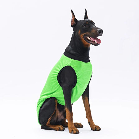 Pawstar Green Travel Orta-Büyük Irk Köpek T-shirtü