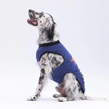 Pawstar Lacivert Travel Orta-Büyük Irk Köpek T-shirtü