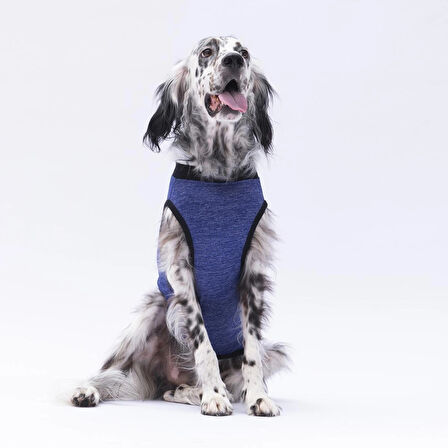 Pawstar Lacivert Travel Orta-Büyük Irk Köpek T-shirtü