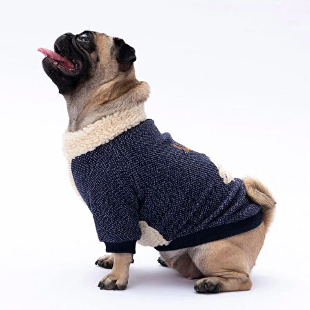 Pawstar Lacivert Alaska Esnek, Küçük Irk Köpek Trikosu