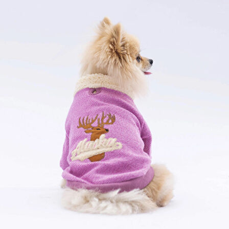 Pawstar Pembe Alaska Esnek, Küçük Irk Köpek Trikosu