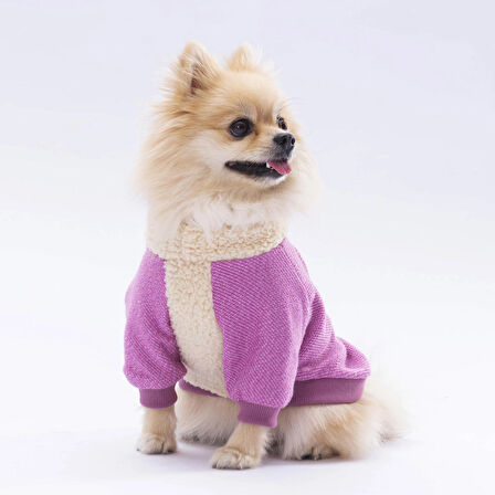 Pawstar Pembe Alaska Esnek, Küçük Irk Köpek Trikosu