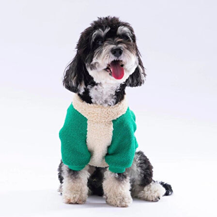 Pawstar Yeşil Alaska Esnek, Küçük Irk Triko Köpek Trikosu