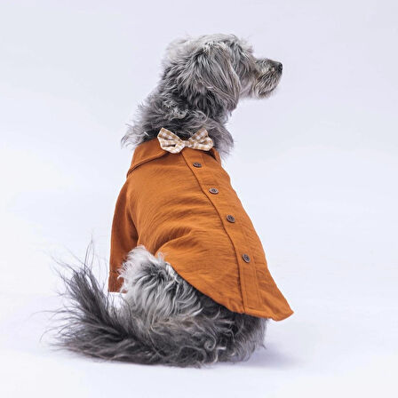 Pawstar Kahve Linen Look Kedi ve Küçük Irk Köpek Gömleği