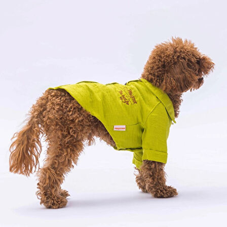 Pawstar Yeşil Linen Look Kedi ve Küçük Irk Köpek Gömleği