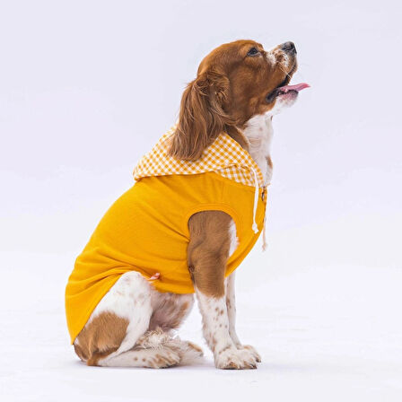 Pawstar Sarı Gingham Küçük Irk Köpek Polo T-shirtü