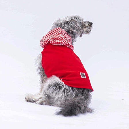 Pawstar Kırmızı Gingham Küçük Irk Köpek Polo T-shirtü