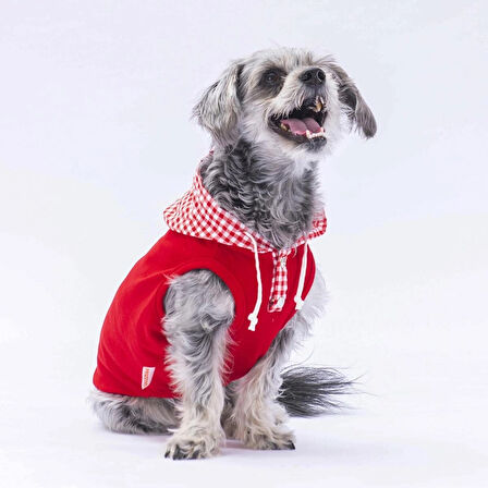 Pawstar Kırmızı Gingham Küçük Irk Köpek Polo T-shirtü