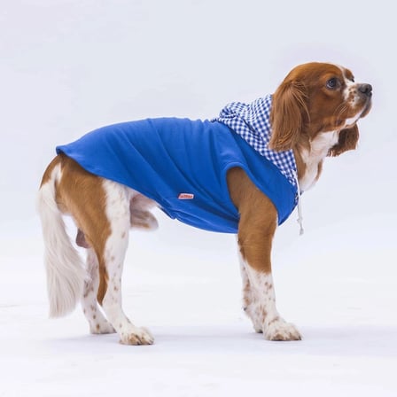Pawstar Mavi Gingham Küçük Irk Köpek Polo T-shirtü