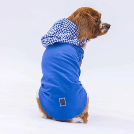 Pawstar Mavi Gingham Küçük Irk Köpek Polo T-shirtü