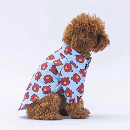 Pawstar Bear Kedi ve Küçük Irk Köpek Gömleği