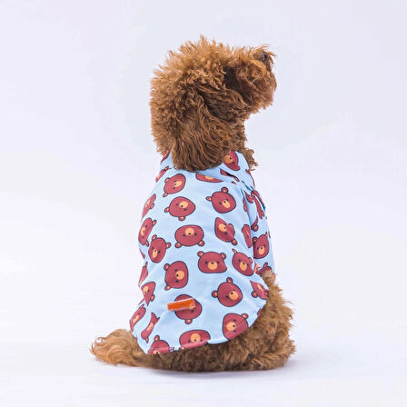 Pawstar Bear Kedi ve Küçük Irk Köpek Gömleği