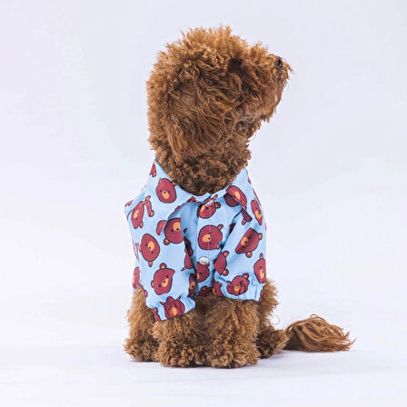 Pawstar Bear Kedi ve Küçük Irk Köpek Gömleği