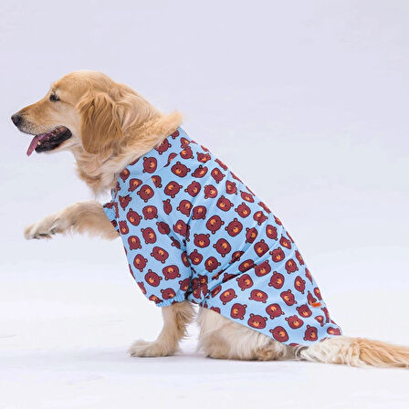 Pawstar Bear Orta-Büyük Irk Köpek Gömleği