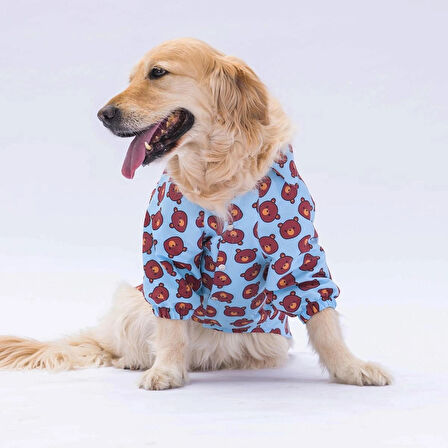 Pawstar Bear Orta-Büyük Irk Köpek Gömleği