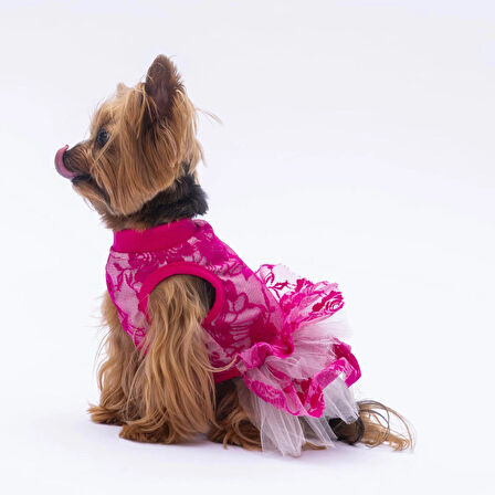 Pawstar Pink Rosa Kedi ve Küçük Irk Köpek Elbisesi