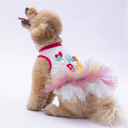 Pawstar Happy Birthday Tütülü Kedi ve Küçük Irk Köpek Elbisesi