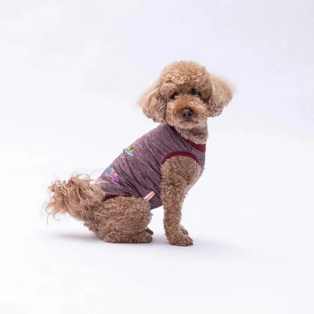 PawStar Bordo Space Time Küçük Irk Köpek T-Shirtü